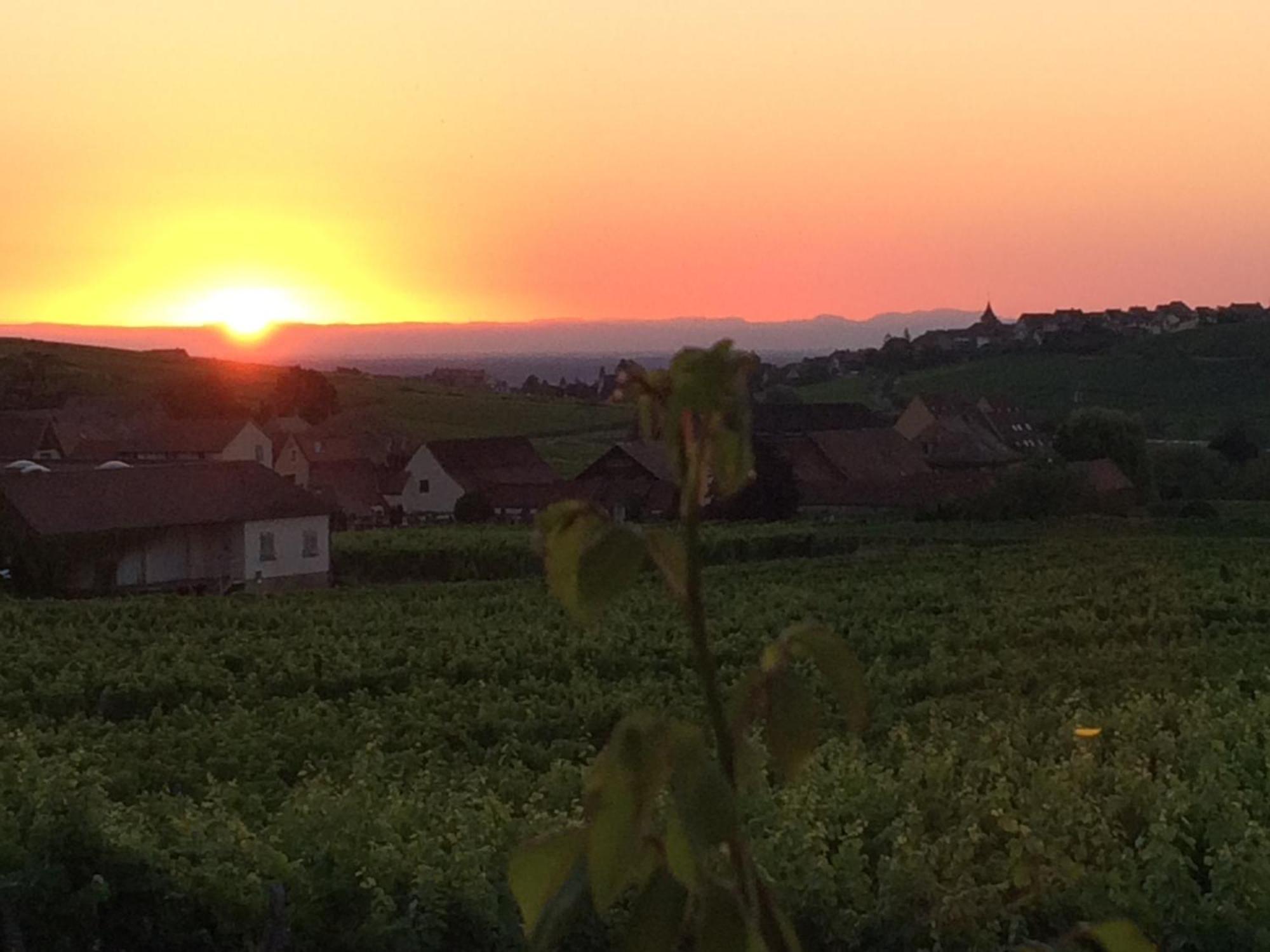 Gite Le Mandle Riquewihr Exteriör bild